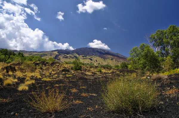 Mount Etna Landskapet Med Vulkankratre Sicilia Italia – stockfoto