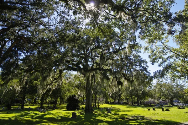 Tallahassee Eua Outubro 2017 Cemitério Cidade Velha Tallahassee Cemitério Mais — Fotografia de Stock