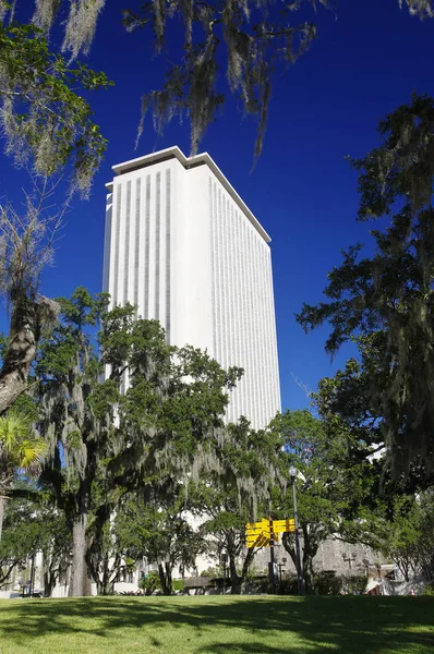 Tallahassee Stany Zjednoczone Ameryki Października 2017 Tallahassee Florida State Capitol — Zdjęcie stockowe