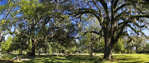 Tallahassee Old City Cemetery Oldest Burial Ground City Established 1829 — Stock Photo, Image