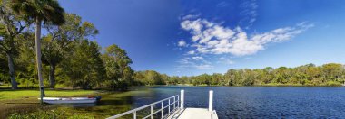 Salt Springs in Ocala National Forest are ancient subterranean springs, contain potassium, magnesium and sodium salts give the waters in the spring a slight salinity.  clipart