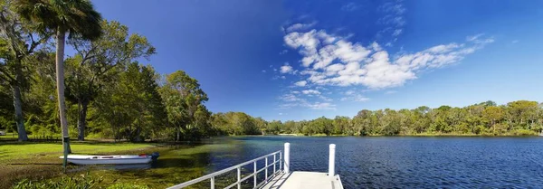 Sprężyny Soli Ocala National Forest Starożytnych Źródeł Podziemnych Zawierają Potas Obrazy Stockowe bez tantiem