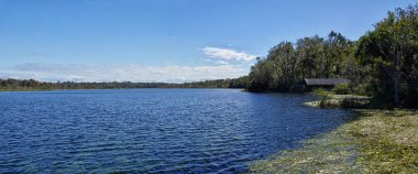 Tuz Springs Ocala Ulusal ormanı içinde antik yeraltı springs, potasyum içerir, magnezyum ve sodyum tuzları suları baharda hafif bir tuzluluk vermek.