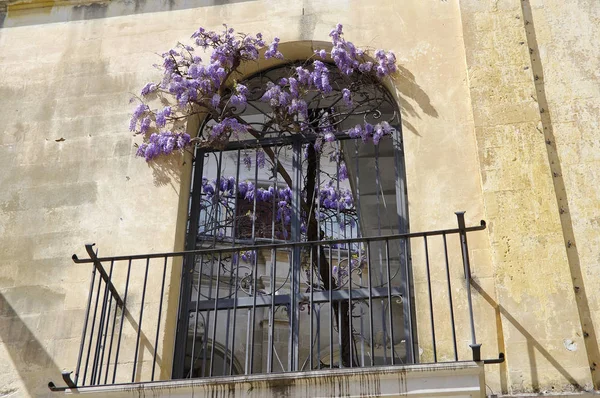 Balcão encantador com árvore Jacaranda como exemplo de arquitetura barroca típica em Lecce, na região da Apúlia, Itália — Fotografia de Stock