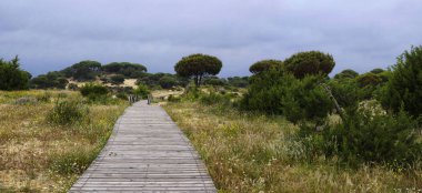 Matalascanas, il Huelva, Endülüs, İspanya yakınındaki tepeleri arasında bir sarma ahşap tahta