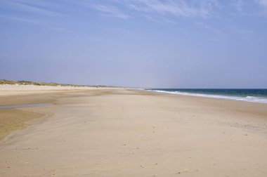 Issız Atlantik littoral, Coto de Donana Milli Parkı Andalusia, İspanya