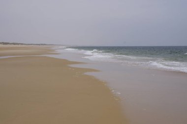 Issız Atlantik littoral, Coto de Donana Milli Parkı Andalusia, İspanya