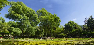 Seville, Endülüs/Ispanya-10 Mayıs, 2018-Sevilla Ispanya Plaza yakınındaki Park Parque de Maria Luisa