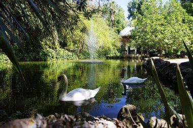 Sevilla İspanya Plaza yakınında Park Parque de Maria Luisa