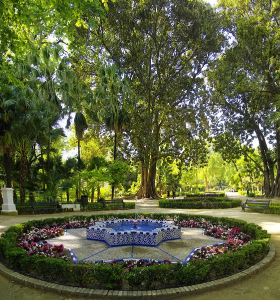 SEVILLE, ANDALUSIA / SPAIN - MAY 10, 2018 - The Park Parque de Maria Luisa near the Plaza of Spain in Seville — Stock Photo, Image