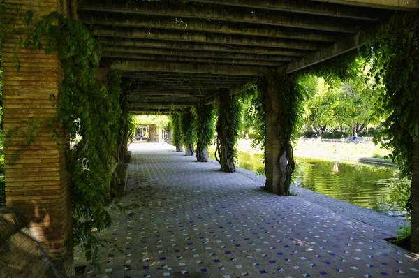 Seville, Endülüs/Ispanya-10 Mayıs, 2018-Sevilla Ispanya Plaza yakınındaki Park Parque de Maria Luisa — Stok fotoğraf