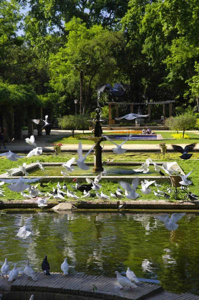 Sevilla, Andalusien / Spanien - 10. Mai 2018 - der Park Parque de maria luisa in der Nähe des Platzes von Spanien in Sevilla — Stockfoto