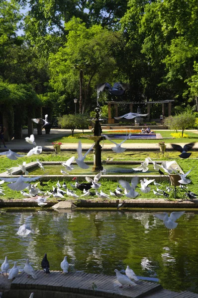 SEVILLE, ANDALUSIA / ESPAÑA - 10 DE MAYO DE 2018 - El Parque de María Luisa cerca de la Plaza de España en Sevilla —  Fotos de Stock