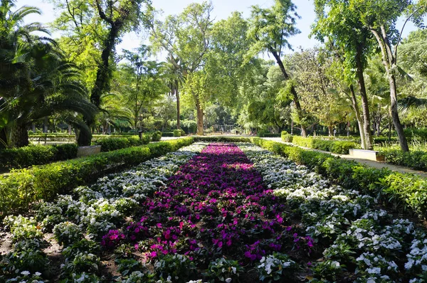 Sevilla, Andalusië/Spanje-10 mei 2018-het Park Parque de Maria Luisa in de buurt van de Plaza van Spanje in Sevilla — Stockfoto