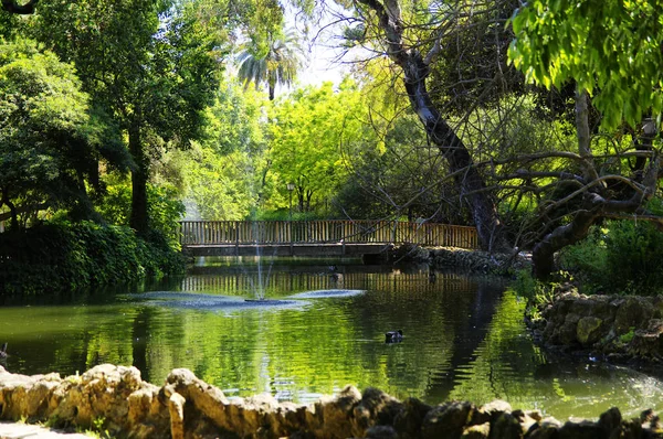 Het Park Parque de Maria Luisa in de buurt van de Plaza van Spanje in Sevilla — Stockfoto