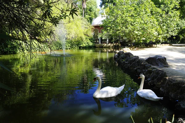 Het Park Parque de Maria Luisa in de buurt van de Plaza van Spanje in Sevilla — Stockfoto