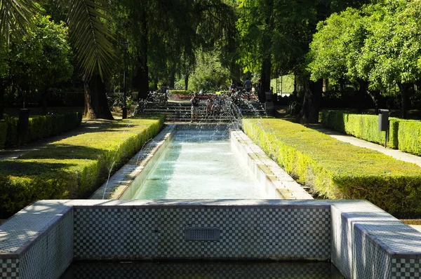 SEVILLE, ANDALUSIA / SPAIN - MAY 10, 2018 - The Park Parque de Maria Luisa near the Plaza of Spain in Seville — Stock Photo, Image