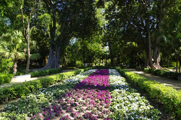 SEVILLE, ANDALUSIA / ESPAÑA - 10 DE MAYO DE 2018 - El Parque de María Luisa cerca de la Plaza de España en Sevilla — Foto de Stock