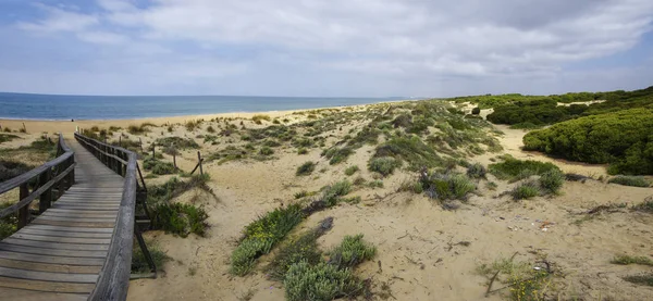 El Portil plajına giden kum tepecikleri boyunca ahşap bir kaldırım, İl Huelva, Endülüs, İspanya — Stok fotoğraf