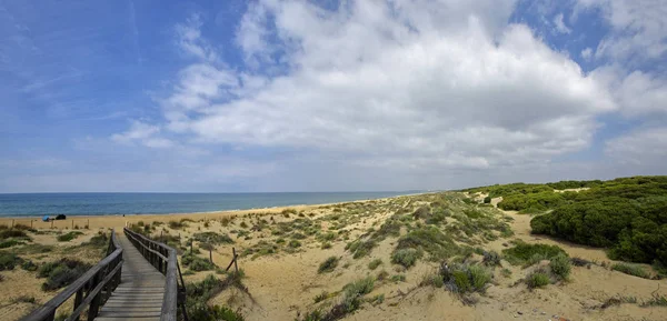 Деревянная набережная через дюны, ведущая к пляжу Эль Портил, провинция Уэльва, Андалусия, Испания — стоковое фото