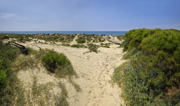 Um passeio de madeira através das dunas que levam à praia El Portil, Província Huelva, Andaluzia, Espanha — Fotografia de Stock