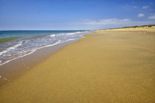 Die sandige landschaft des marismas del odiel nationalparks in andalusien, spanien — Stockfoto