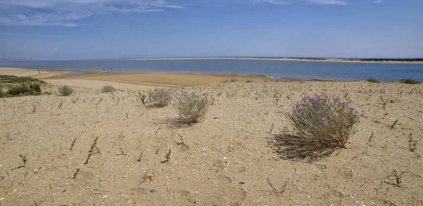 Песчаный ландшафт национального парка Марисмас дель Одиль в Андалусии, Испания — стоковое фото