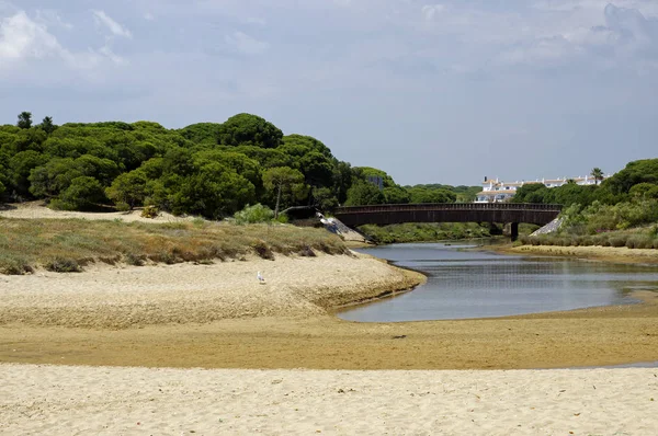 Il paesaggio sabbioso del Parco Nazionale di Marismas del Odiel in Andalusia, Spagna — Foto Stock