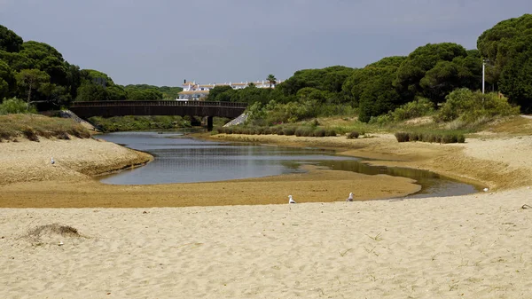 Endülüs, Ispanya 'daki Marismas del Odiel Milli Parkı 'nın kumlu manzarası — Stok fotoğraf