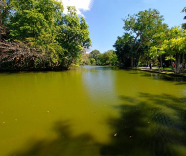 Sir Seewoosagur Ramgoolam Botanik Bahçesi. Bu popüler bir turist cazibe ve Güney Yarımküre en eski Botanik Bahçesi.
