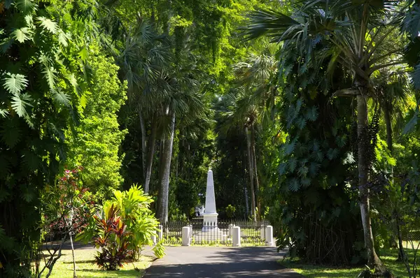 Πορτ Λούις/Μαυρίκιος-14 2018 Αυγούστου: ο Βοτανικός Κήπος του Sir Σιγουσάγκουρ Ramgoolam. Αυτό είναι ένα δημοφιλές τουριστικό αξιοθέατο και ο αρχαιότερος Βοτανικός Κήπος στο νότιο ημισφαίριο. — Φωτογραφία Αρχείου