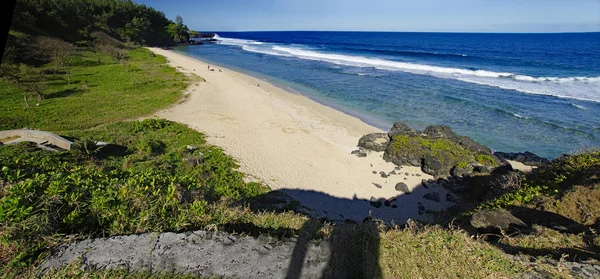 Mantella Grigio Grigio a sud di Mauritius . — Foto Stock