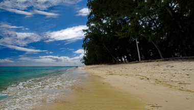 Flic En Flac/Mauritius - 20 Ağustos 2018: Güneşli bir günde, Hint Okyanusu'nun kenarında tropikal ağaçlarla Flic en Flac'ın halk plajında yürüyen insanlar, Mauritius 