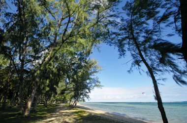 Mauritius adasındaki Bel Ombre halk plajı