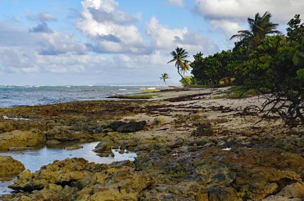 Playa de Autre Bord en Le Moule en Guadalupe, Indias occidentales francesas. Antillas Menores, Mar Caribe — Foto de Stock