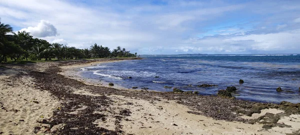 Playa de Autre Bord en Le Moule en Guadalupe, Indias occidentales francesas. Antillas Menores, Mar Caribe — Foto de Stock