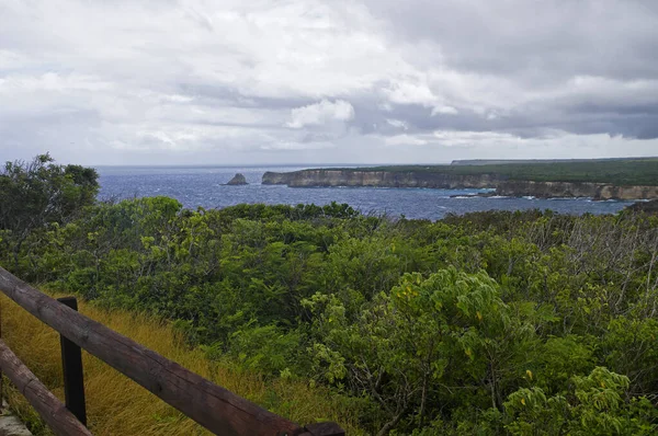La Pointe de la Grande-Vigie est située au nord de la Grande-Terre en Guadeloupe, aux Antilles françaises, dans les Caraïbes. Les hautes falaises de 80 mètres, créant un paysage spectaculaire et sauvage . — Photo