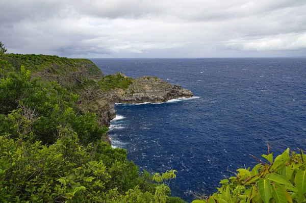 A Pointe de La Grande-Vigie található északra Grande-Terre a Guadeloupe, a francia Antillák, Karib-térségben. A magas sziklák, 80 méter, ami egy látványos és vad táj. — Stock Fotó