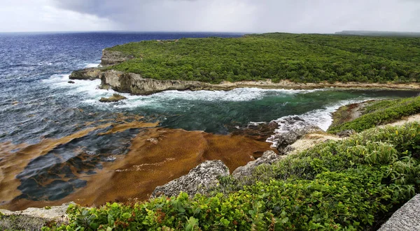 Pointe de La Grande-Vigie ligger på norra Grande-Terre i Guadeloupe, franska Antillerna, Västindien. De höga klipporna på 80 meter, vilket skapar ett spektakulärt och vilt landskap. — Stockfoto