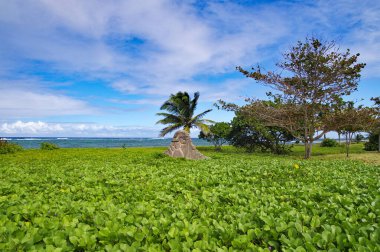 Guadeloupe, Grande-Terre adasındaki Ouatibi Tibi Arkeoloji Parkı 'nda bir heykel, Fransız Batı Hint Adaları