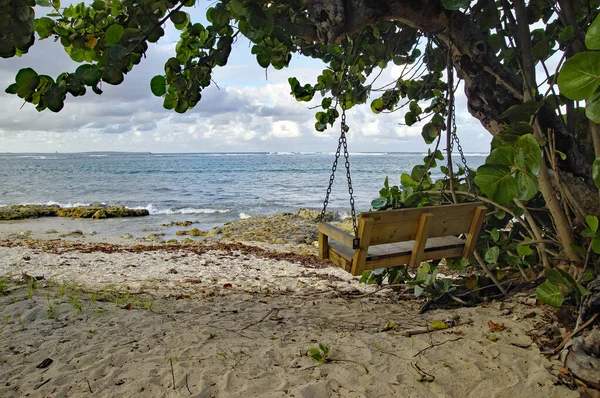 El columpio de madera en la playa de Autre Bord en Le Moule en Guadalupe, Indias occidentales francesas. Antillas Menores, Mar Caribe — Foto de Stock