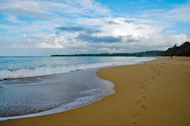 Basse-Terre / Guadeloupe - 11 Ocak 2019: Guadeloupe adasındaki güzel Grande-Anse Sahili 'nde güneş banyosu yapan insanlar