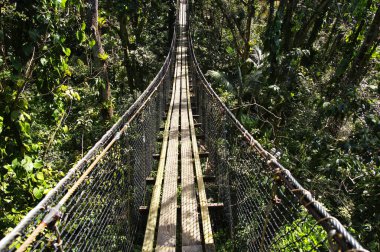 Asma köprüler üst Parc Des Mamelles, Guadeloupe Hayvanat Bahçesi, ağaçların Chemin de la Retraite, Bouillante üzerinde yağmur ormanlarının ortasında. Basse Terre Guadeloupe Adası, Fransız Caribbean.