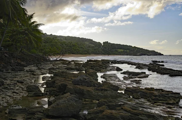 Basse-Terre / Gwadelupa - styczeń 08, 2019: Osoby kąpiące się w słońcu na pięknej Plage de Cluny na wyspie Basse-Terre na Gwadelupie — Zdjęcie stockowe