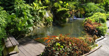 Basse-Terre / Guadeloupe - 07 Ocak 2019: Güzel botanik bahçesi - Jardin de Deshaies, Basse-Terre 'nin kuzeybatısı, Guadeloupe, Karayipler