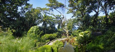 Basse-Terre / Guadeloupe - 07 Ocak 2019: Güzel botanik bahçesi - Jardin de Deshaies, Basse-Terre 'nin kuzeybatısı, Guadeloupe, Karayipler