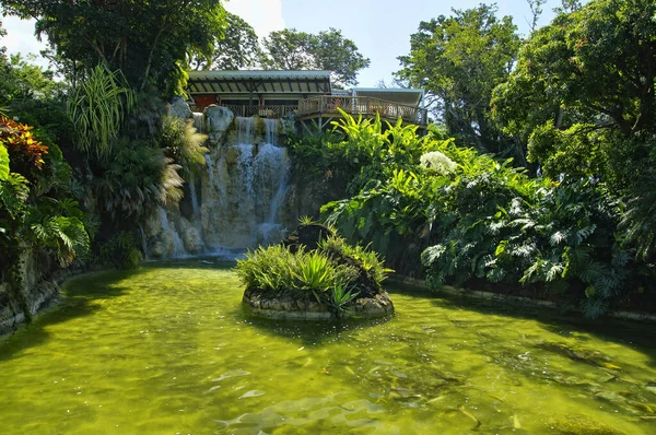 Ботанический сад - Жардин-де-Дешаи, к северо-западу от Басс-Тер, Гваделупа, Карибский бассейн — стоковое фото