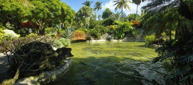 Basse-Terre / Guadeloupe - 07 Ocak 2019: Güzel botanik bahçesi - Jardin de Deshaies, Basse-Terre 'nin kuzeybatısı, Guadeloupe, Karayipler