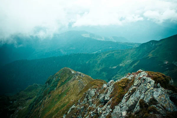 Karpatya dağlarında bulutlu bir manzara. Sisli, karanlık dağ arkaplanı. Maramures, Transcarpathian, Ukrayna Romanya sınırı, Avrupa 'da yürüyüş yolu. 