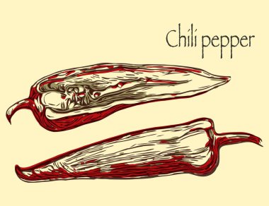 Bej rengi altın arkaplanda kırmızı biber illüstrasyonu. Elle çizilmiş sebzeler oymalı stil, çizgi sanatı